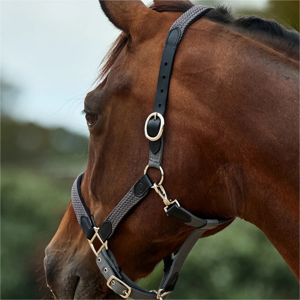 2026 Dublin Braided Leather Headcollar 1031532 - Charcoal